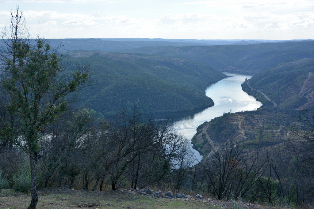 DSC_6437 Castelo do Rei Vamba.jpg