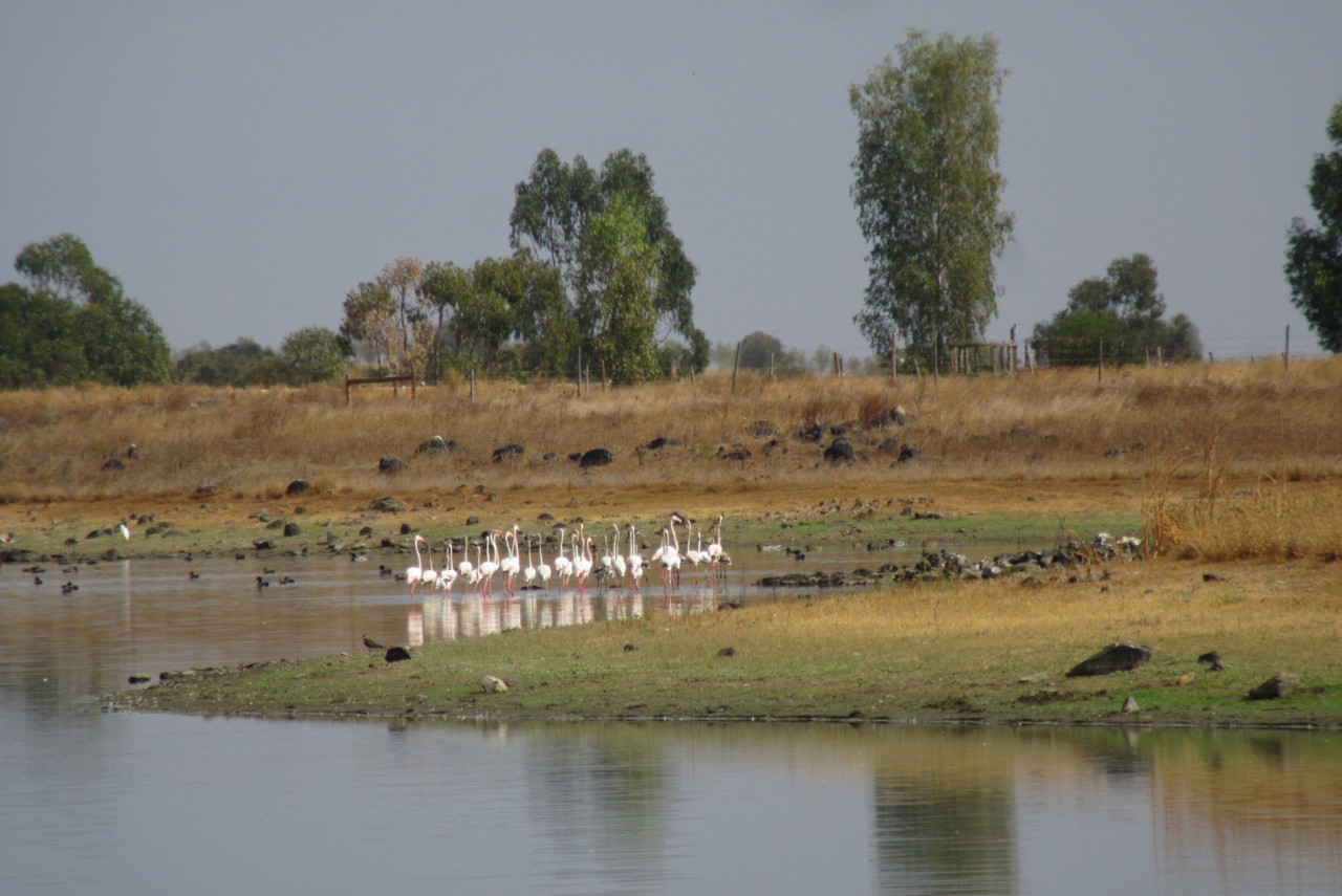 alentejo 3.JPG alentejo 3.JPG