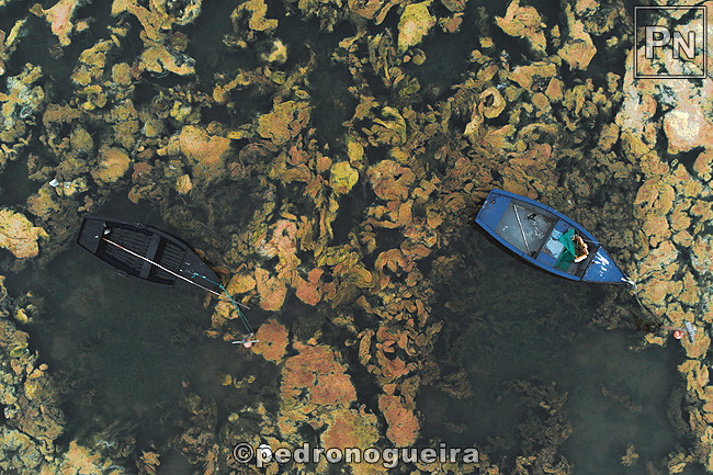 Jun_2021_013a 650px.jpg Jun_2021_013a 650px.jpg