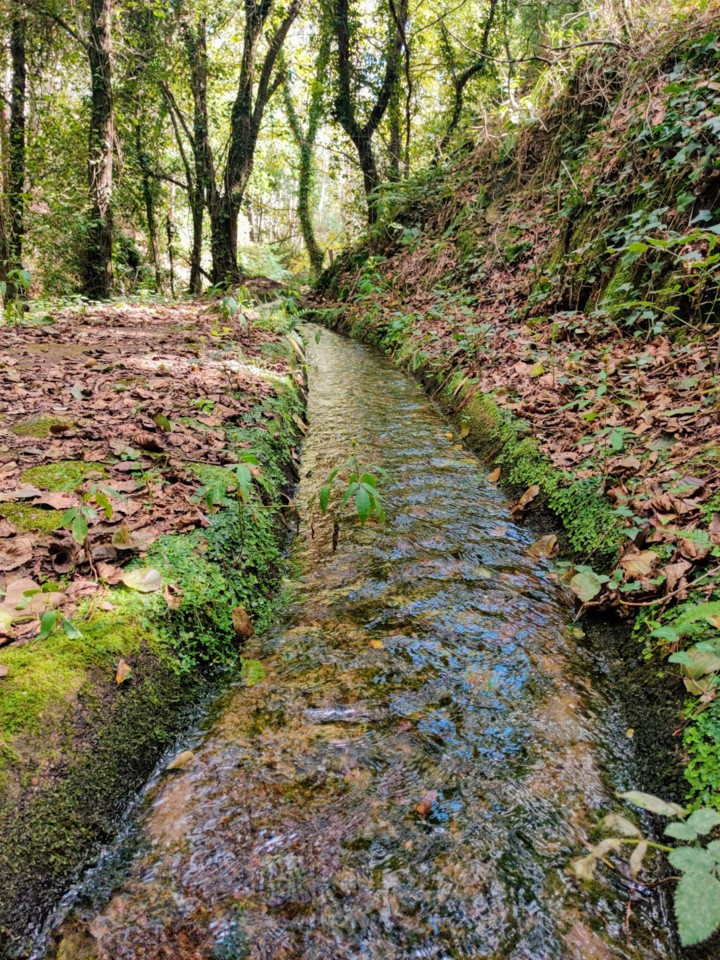 Levadfa da minha aldeia.jpg