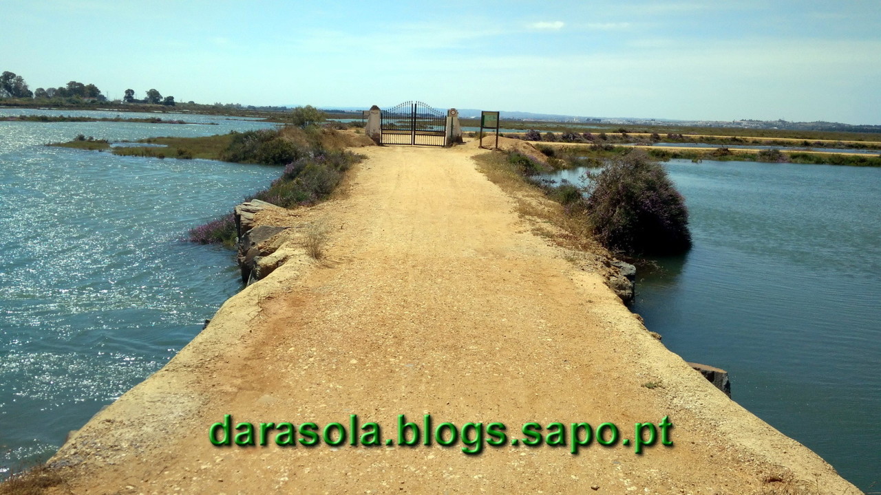 Maresmas_Isla_Canela_10.jpg Maresmas_Isla_Canela_10.jpg