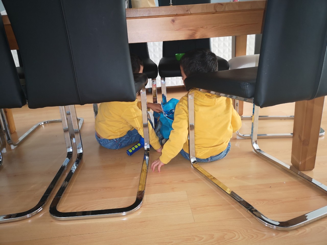 IMG_20190313_080906.jpg IMG_20190313_080906.jpg