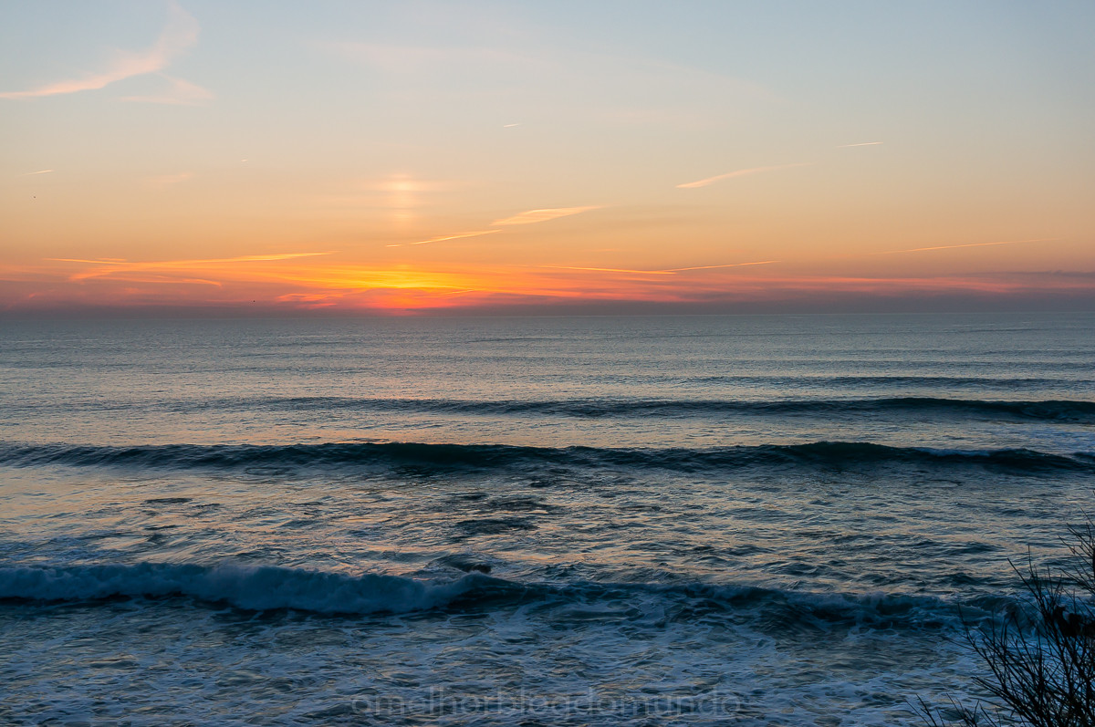 DSC07374.jpg DSC07374.jpg