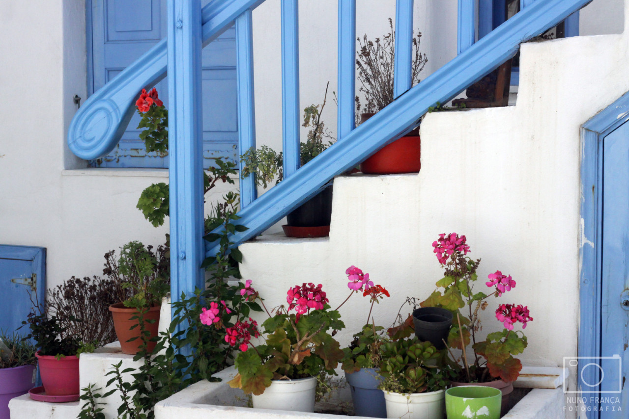 IMG_5882_net.jpg IMG_5882_net.jpg