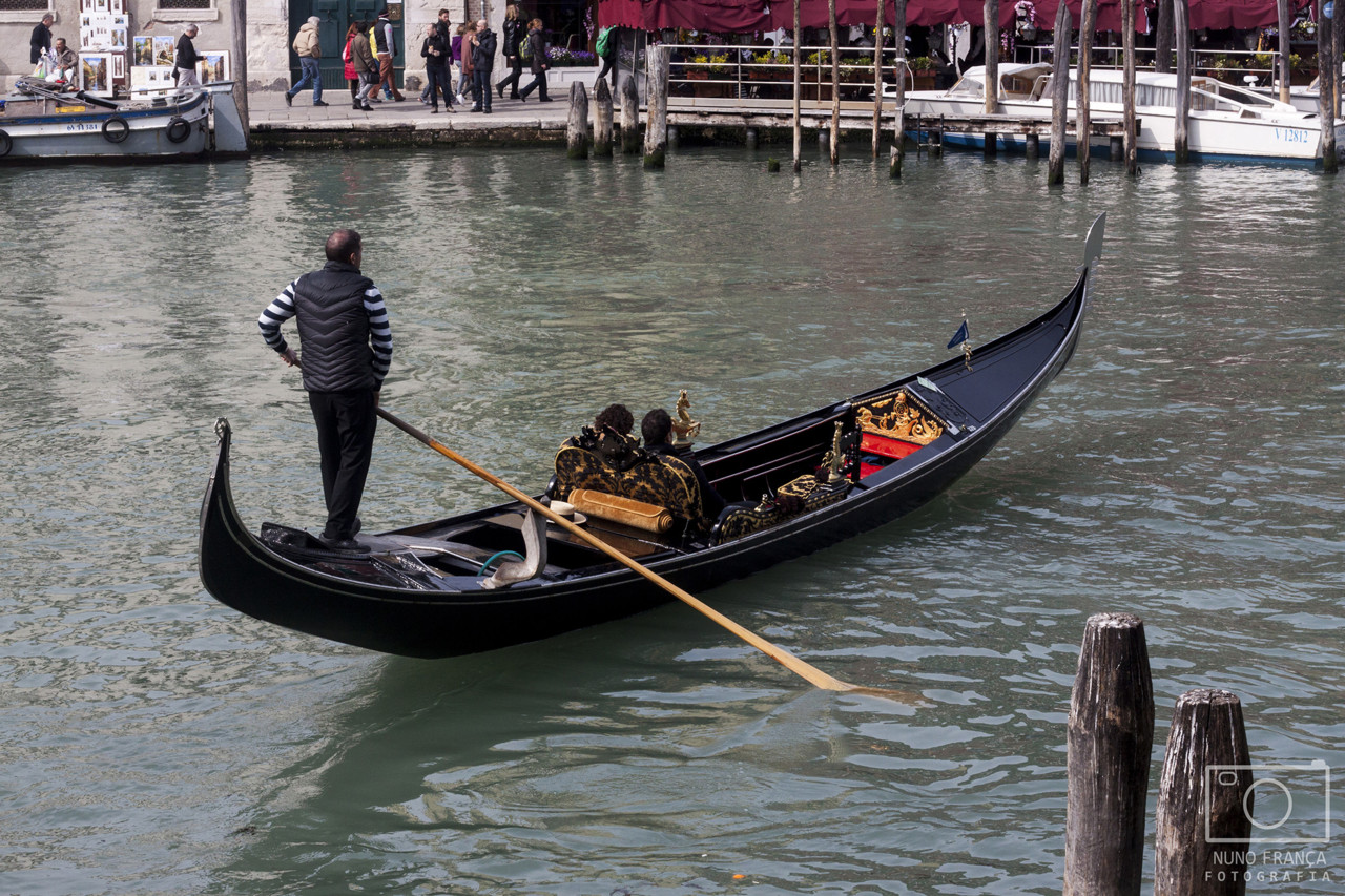 IMG_5531_net.jpg IMG_5531_net.jpg