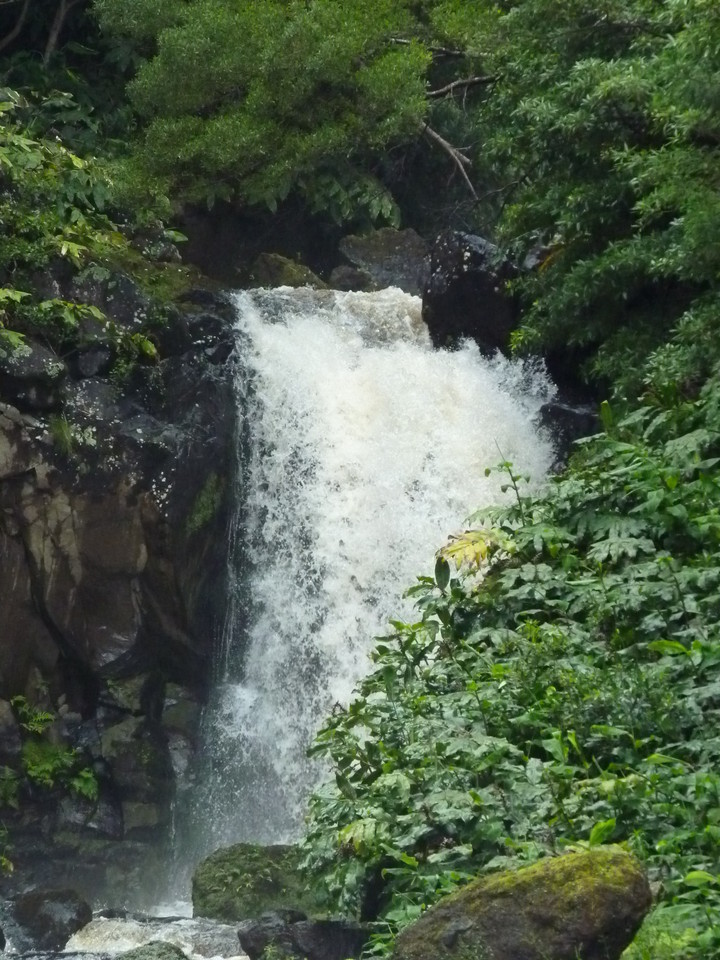 Ribeira do Ferreiro - Ilha das Flores - Açores (4