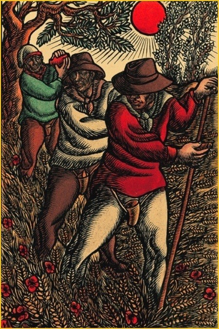 Pavia 4.jpg Pavia 4.jpg