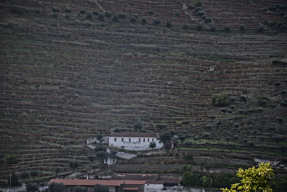 Lumbudus - Douro - Out. 2014 093.JPG
