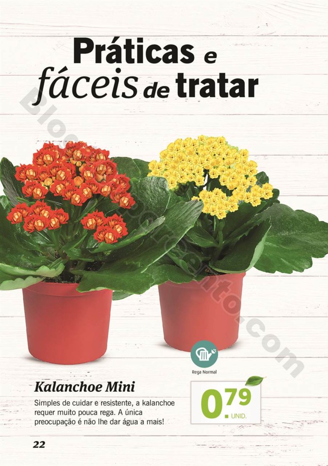 plantas_lidl_mercado_021.jpg