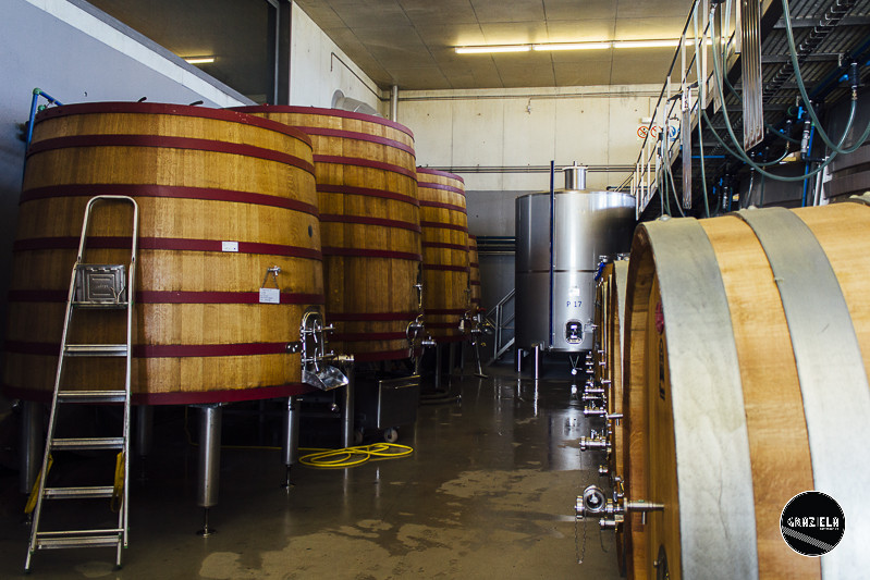 Campo_Maior_Originais-001008.jpg Campo_Maior_Originais-001008.jpg