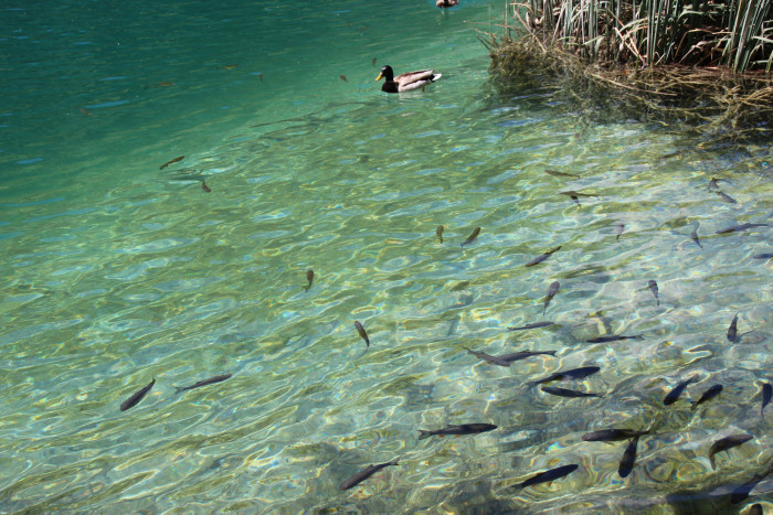 img_9639.jpg img_9639.jpg