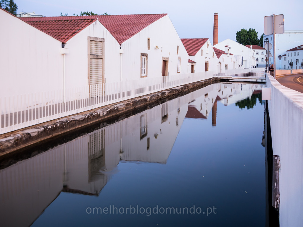 P5310047.jpg P5310047.jpg