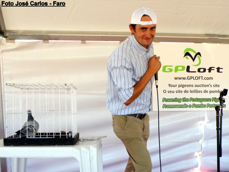 Derby Faro 2017 030.JPG