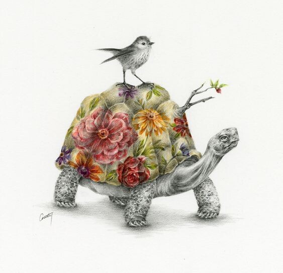 232444498_380342590129883_3094235960465220093_n.jp