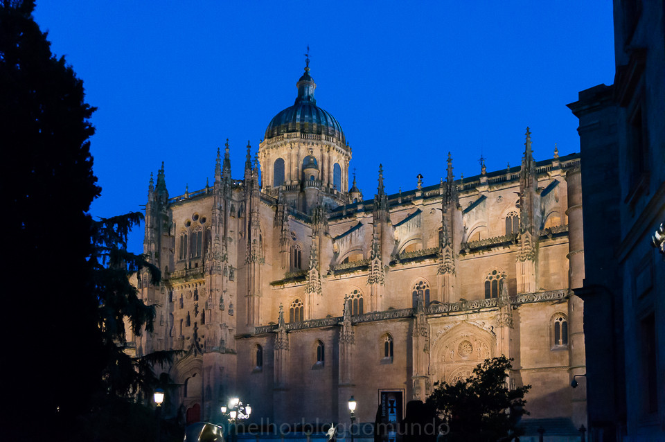 DSC02931.jpg DSC02931.jpg