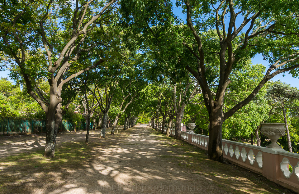 DSC02574.jpg DSC02574.jpg