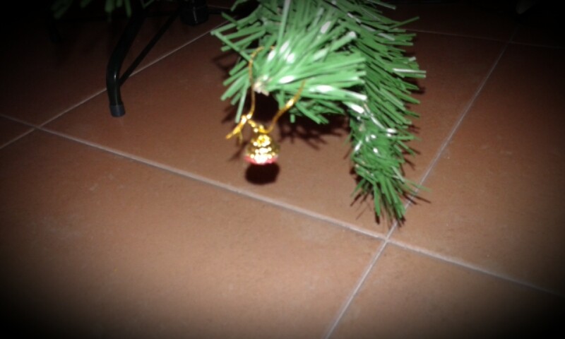 2015-12-03 10.22.08.jpg