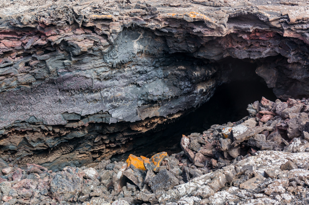 _DSC7361.jpg _DSC7361.jpg