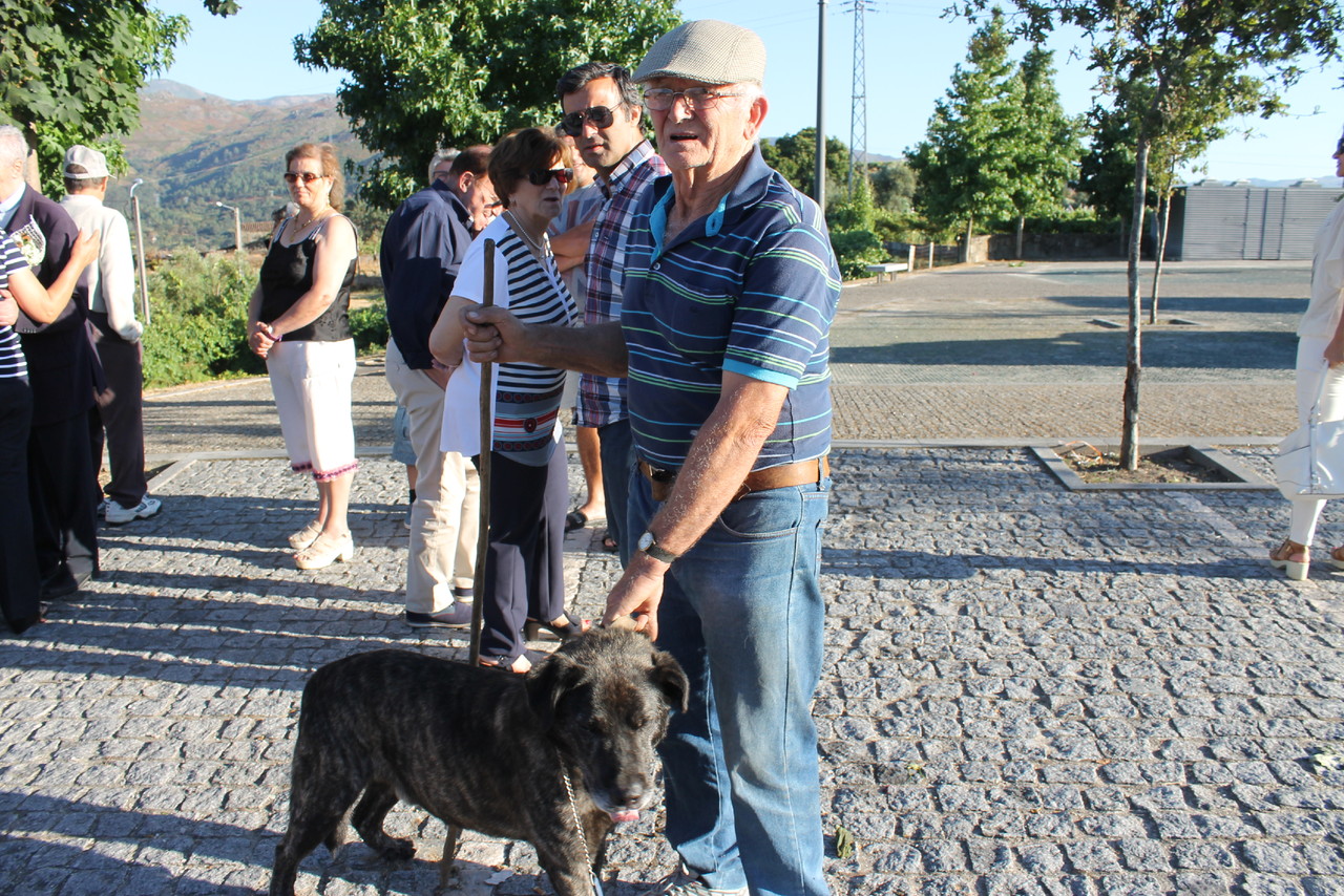 IMG_0725.JPG IMG_0725.JPG