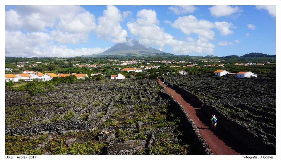 22281716_1950553581628354_4517815495649631558_n.jp