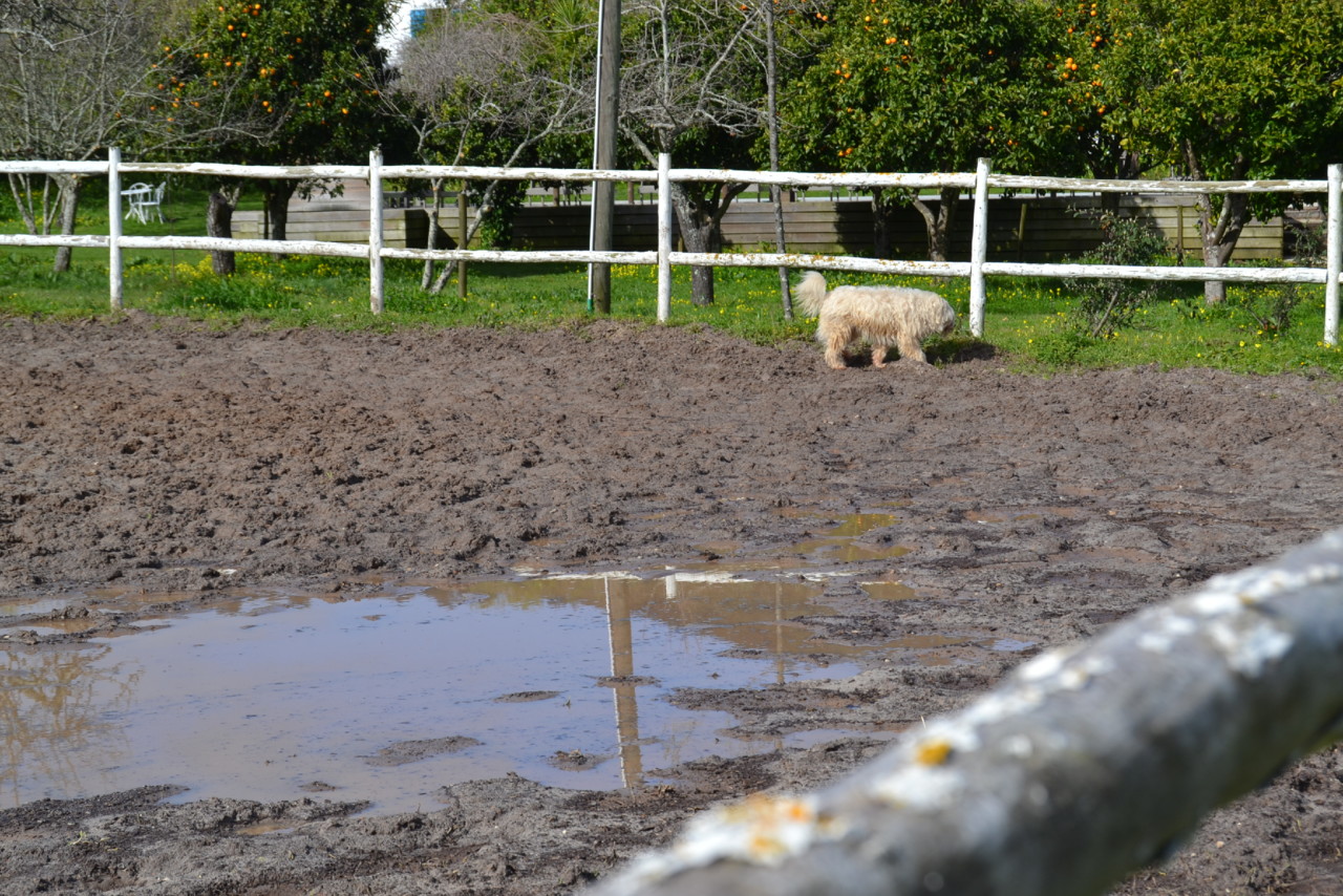 DSC_0917.jpg DSC_0917.jpg