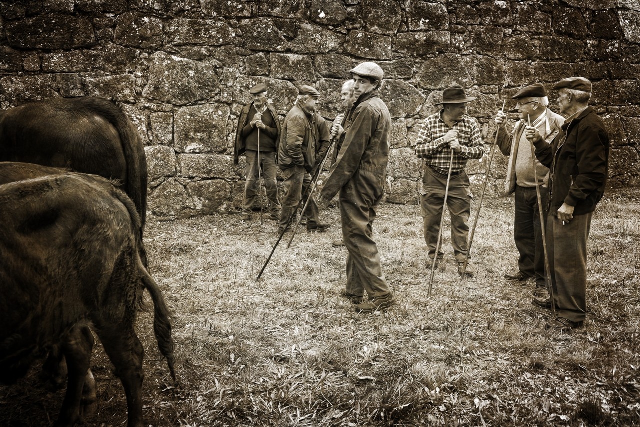 DSCF8487 - cópia copy.jpg