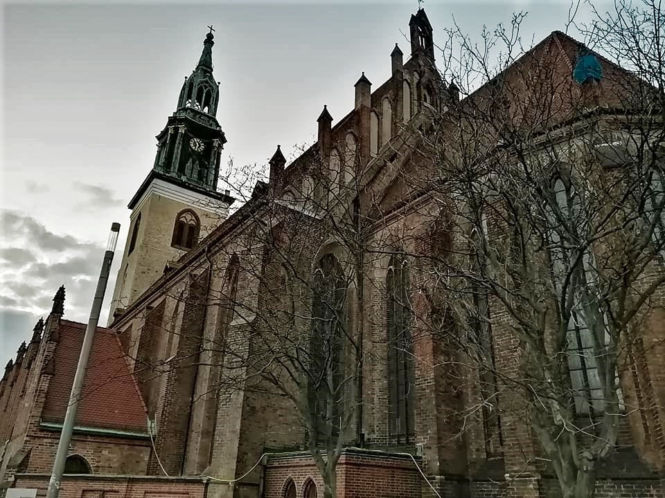 88321350_2764766330275667_5541957543691026432_n.jp