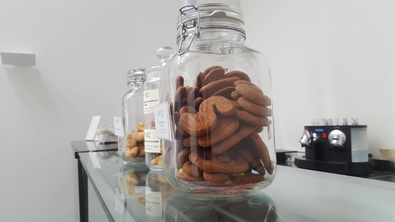 22292486_1288535307918636_1244561341_o.jpg 22292486_1288535307918636_1244561341_o.jpg