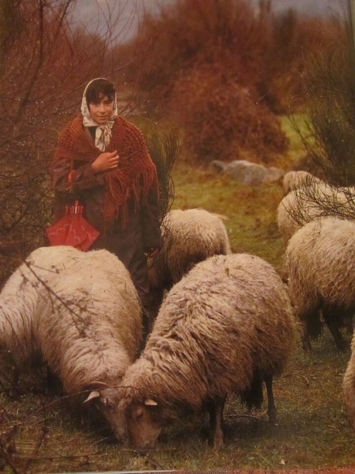 140035356_3639708622783677_5258523942259506836_n.j