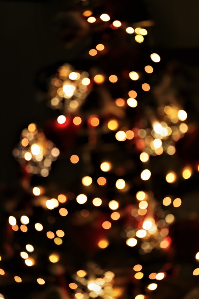 IMG_5201arvote de natal.jpg IMG_5201arvote de natal.jpg