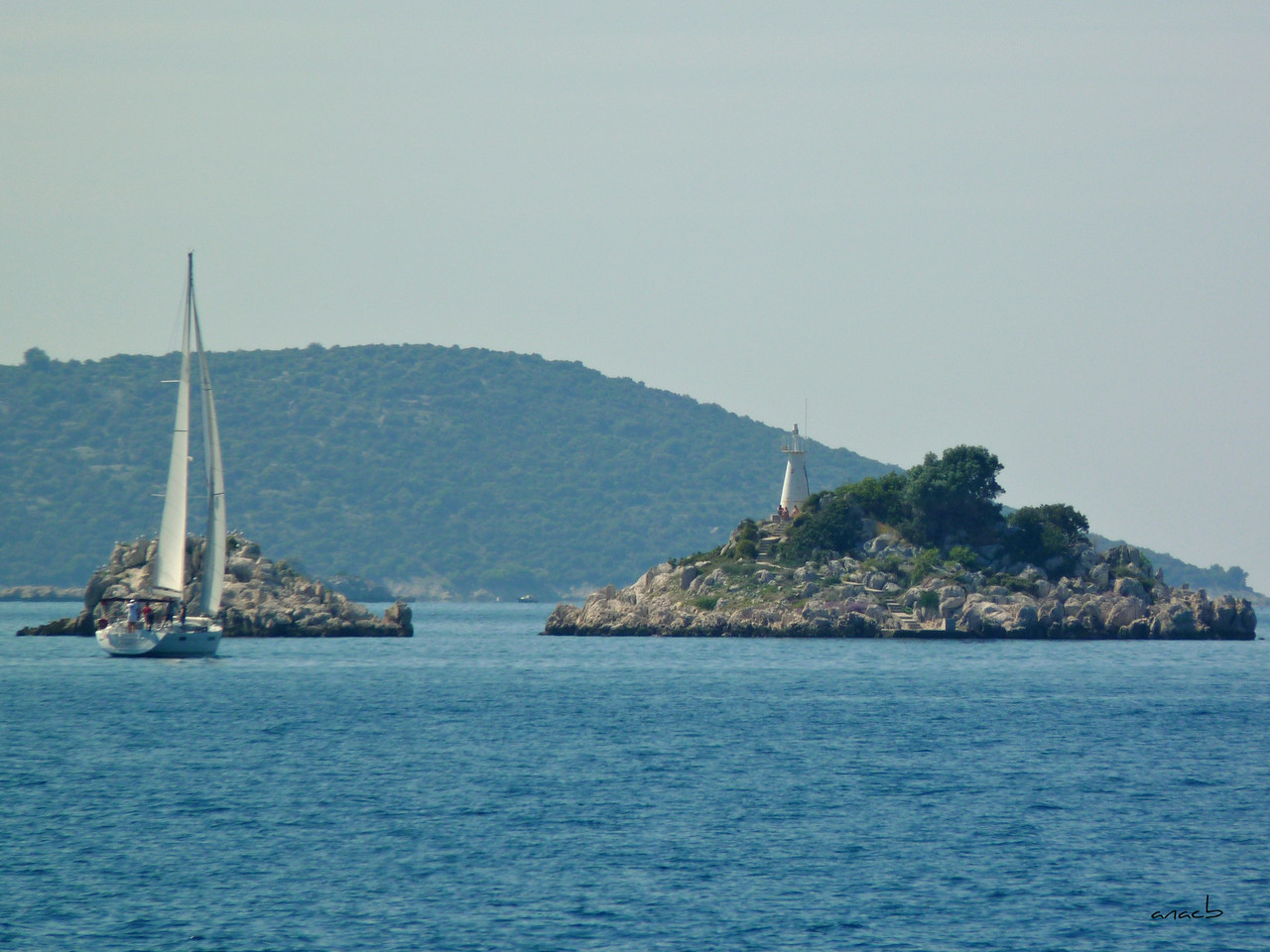 P1380704 cort assin.jpg