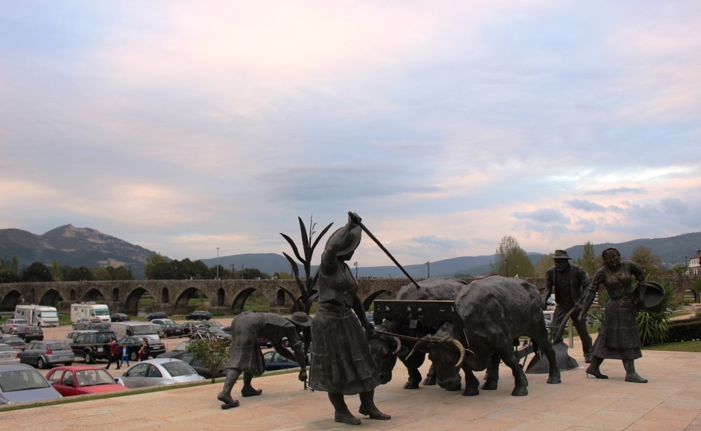 IMG_8160.JPG IMG_8160.JPG