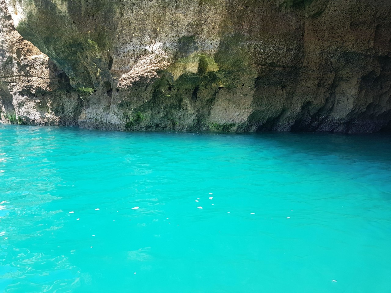 36404211_10210109676293195_1275647403361304576_n.j