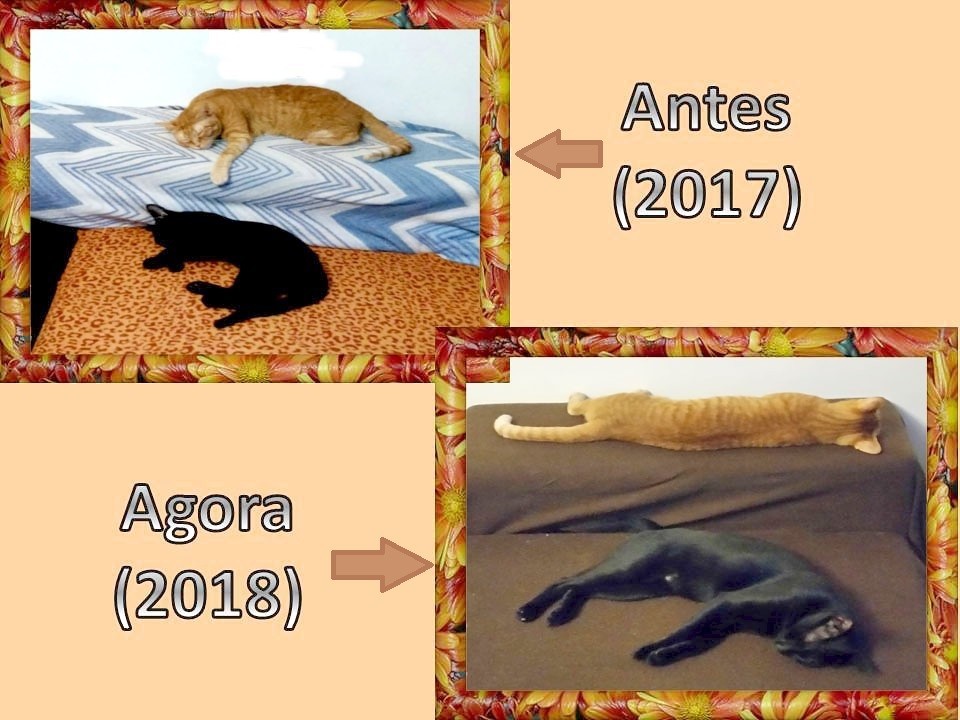 umanoseparafotos.jpg umanoseparafotos.jpg