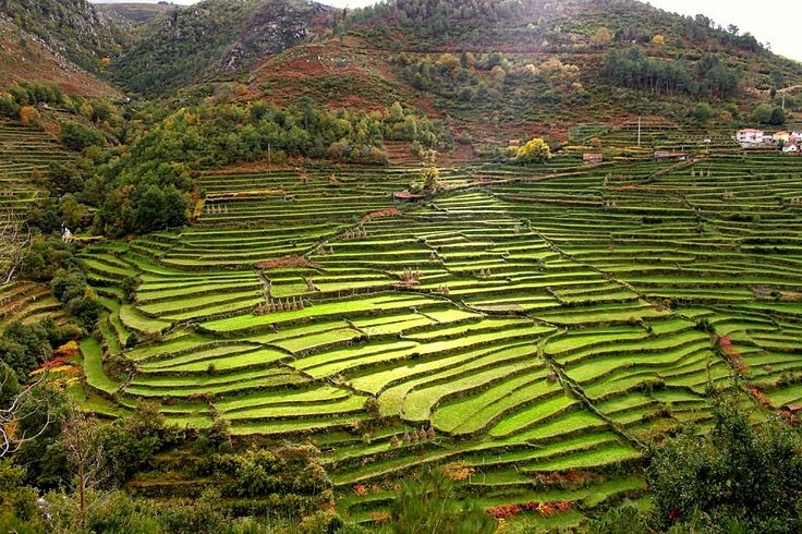 terrenos.jpg terrenos.jpg