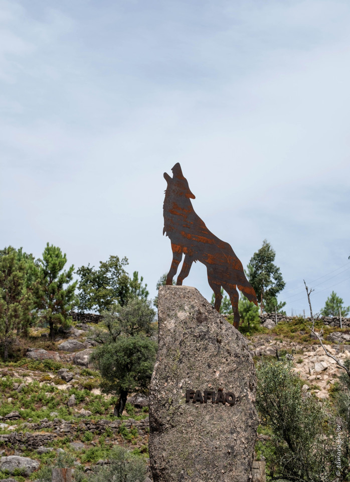 2017.- Montalegre (197).jpg