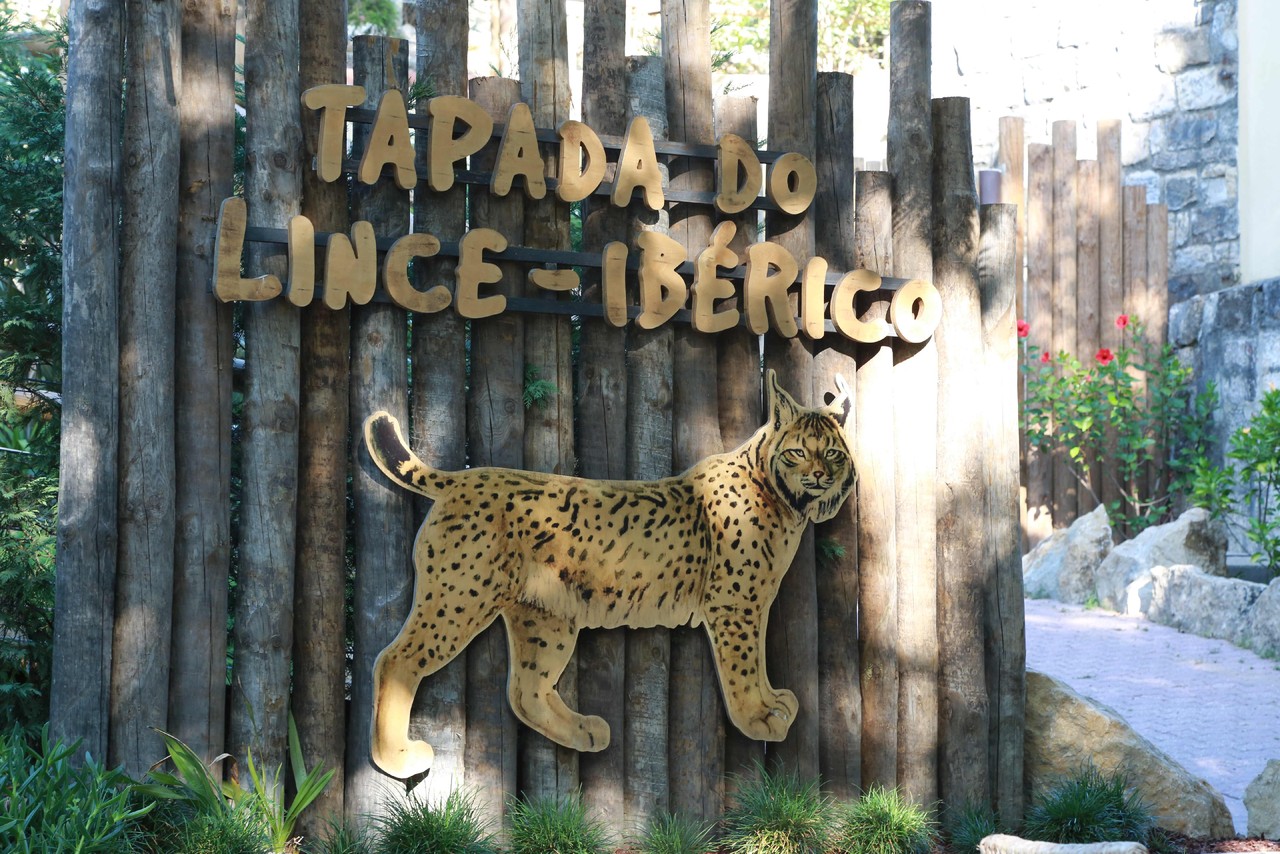 Tapada do Lince Ibérico_Zoo.jpg