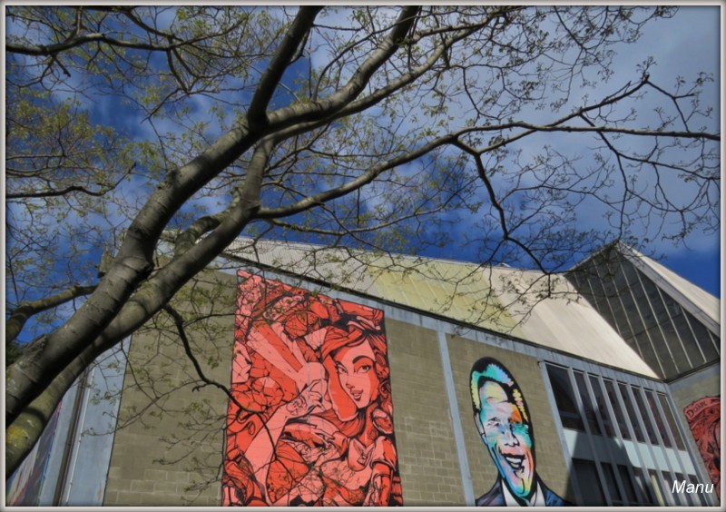 IMG_4927 grafite nova zelândia.jpg