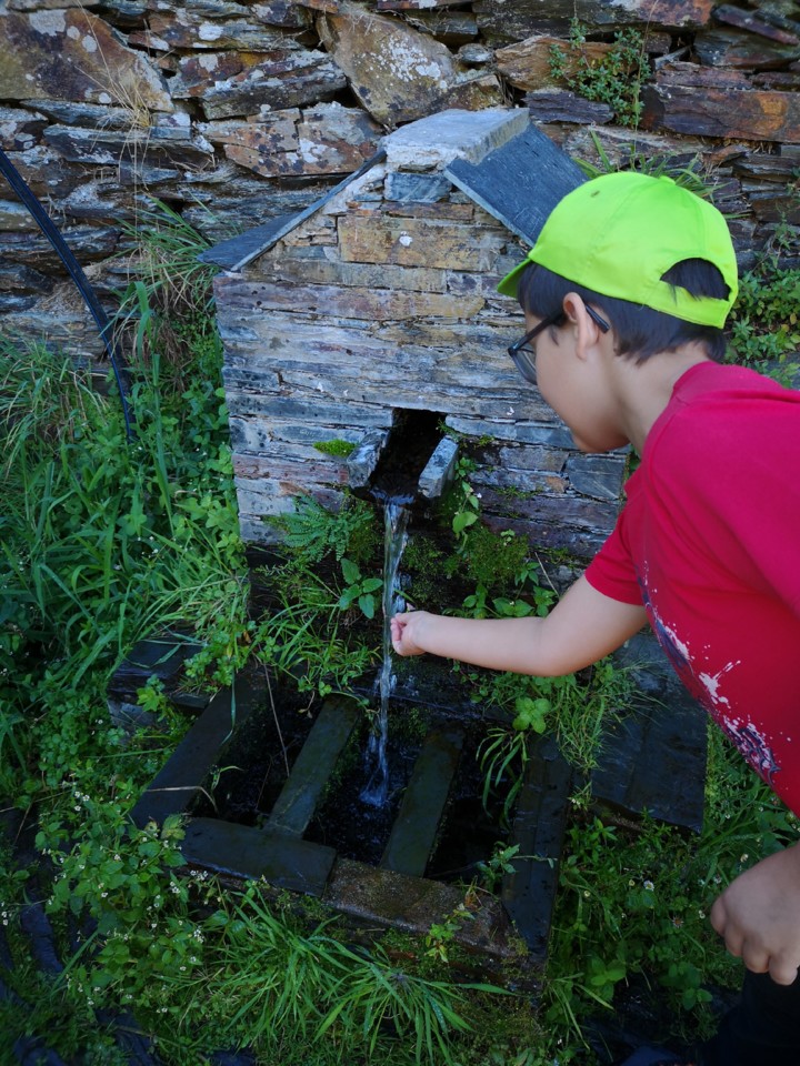 IMG_20191005_161032.jpg IMG_20191005_161032.jpg