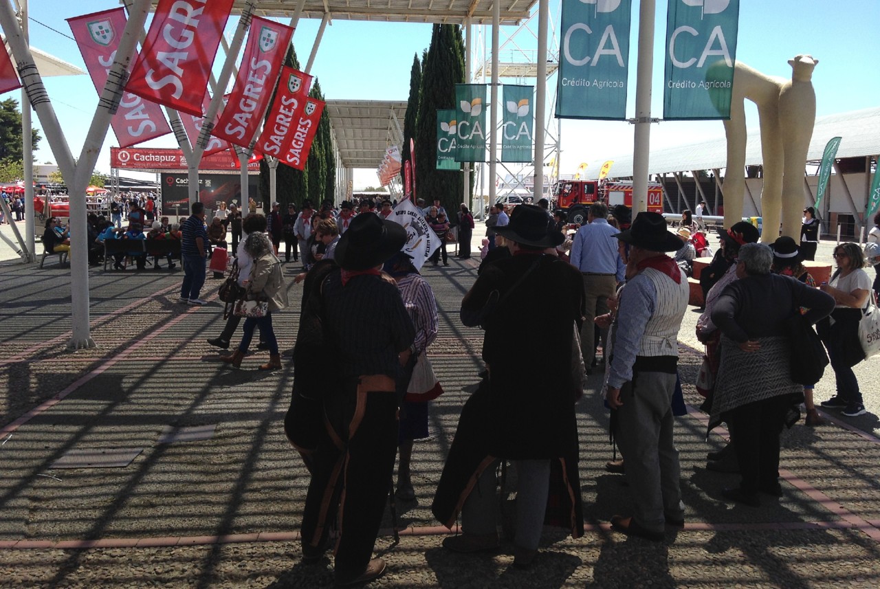 IMG_7454.JPG IMG_7454.JPG