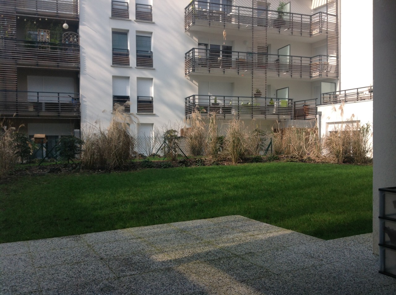 IMG_8183.JPG IMG_8183.JPG