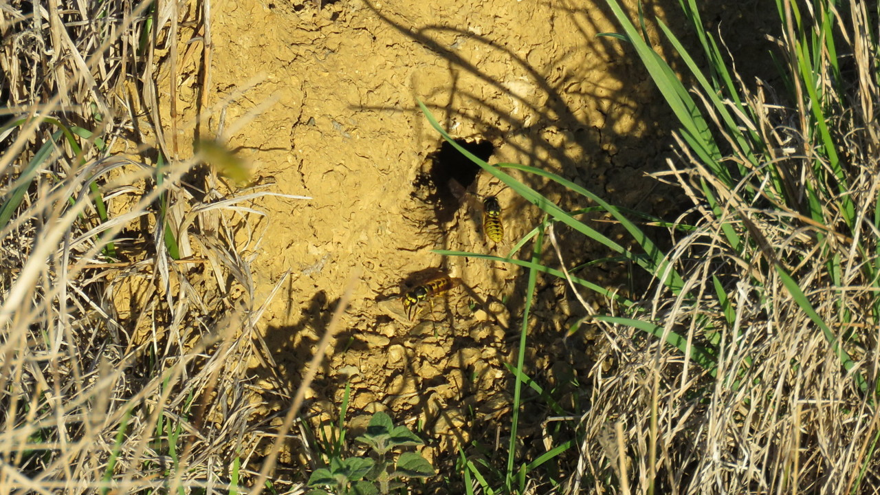 2017-10-29 17-33-02_0257.jpg