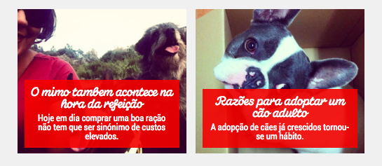 Captura de ecrã 2015-10-30, às 11.06.03.png