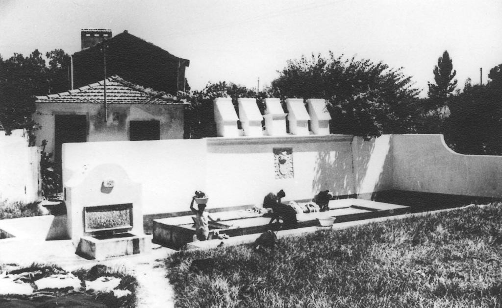 FontAmores.jpg FontAmores.jpg