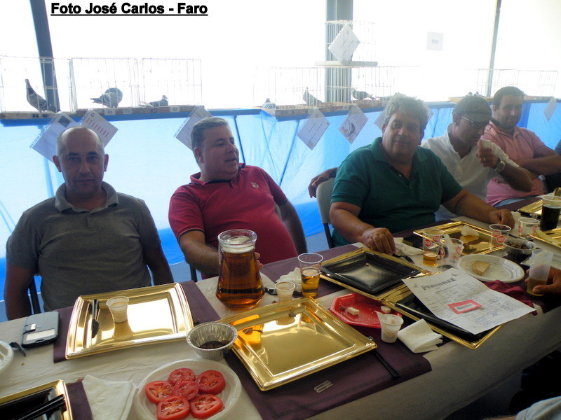 Leilão Serpa 2017 046.JPG