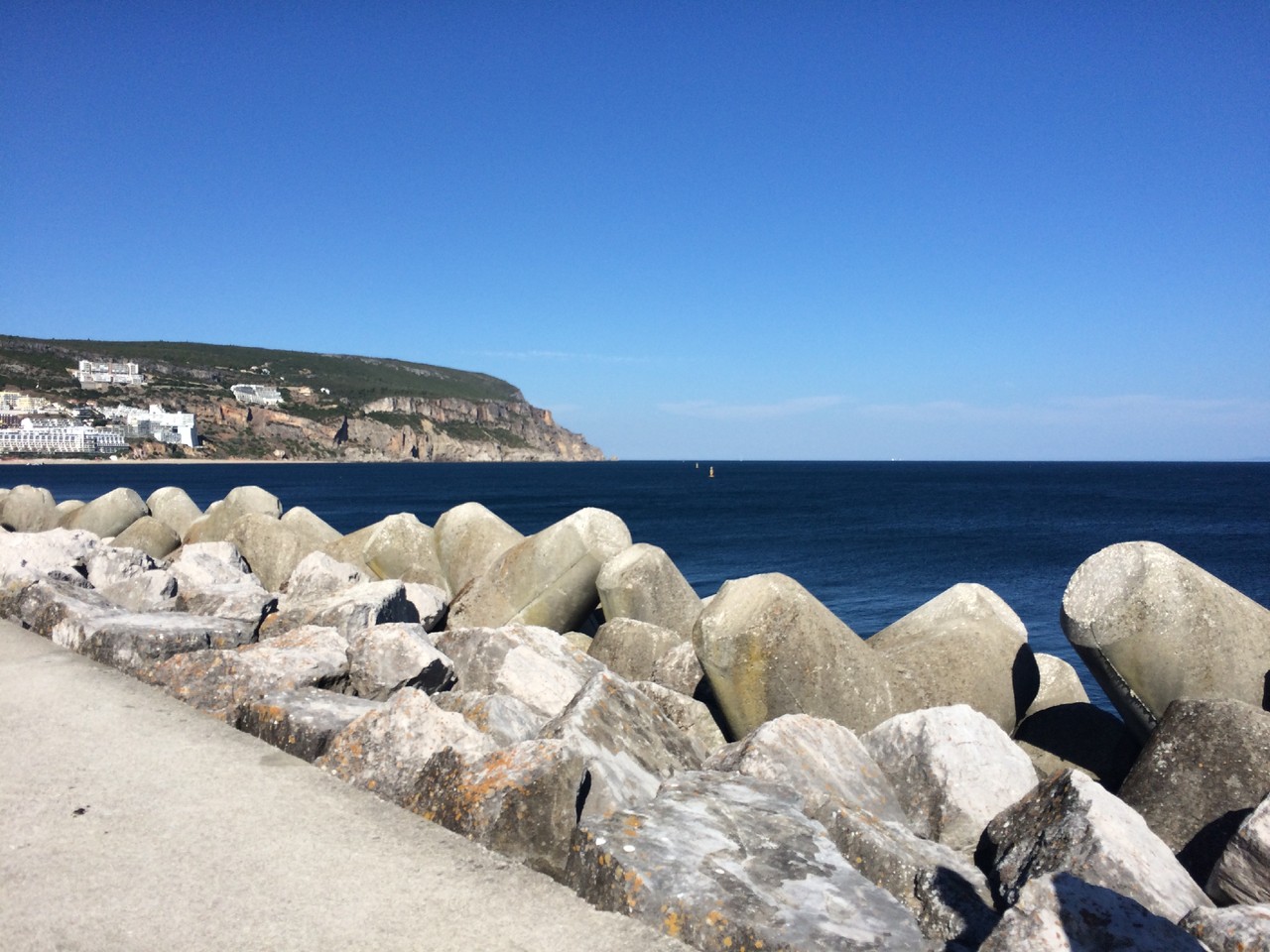 IMG_8005.JPG IMG_8005.JPG