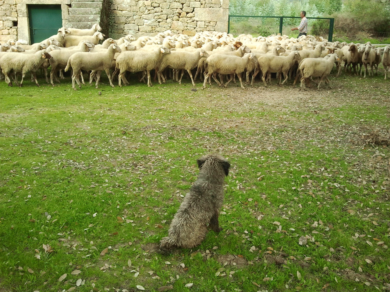 2014-11-02 11.31.43.jpg 2014-11-02 11.31.43.jpg