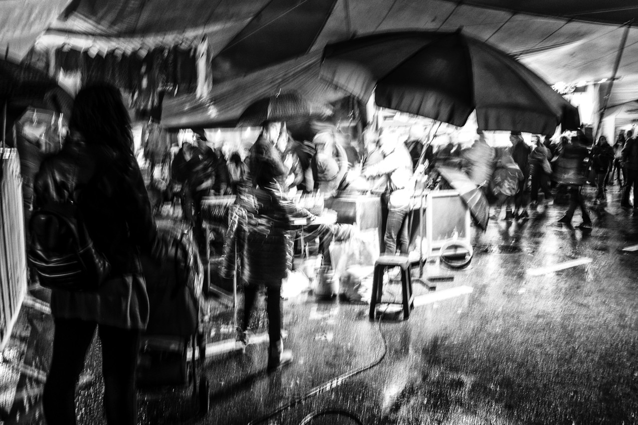 DSCF8762 - cópia 2 copy.jpg