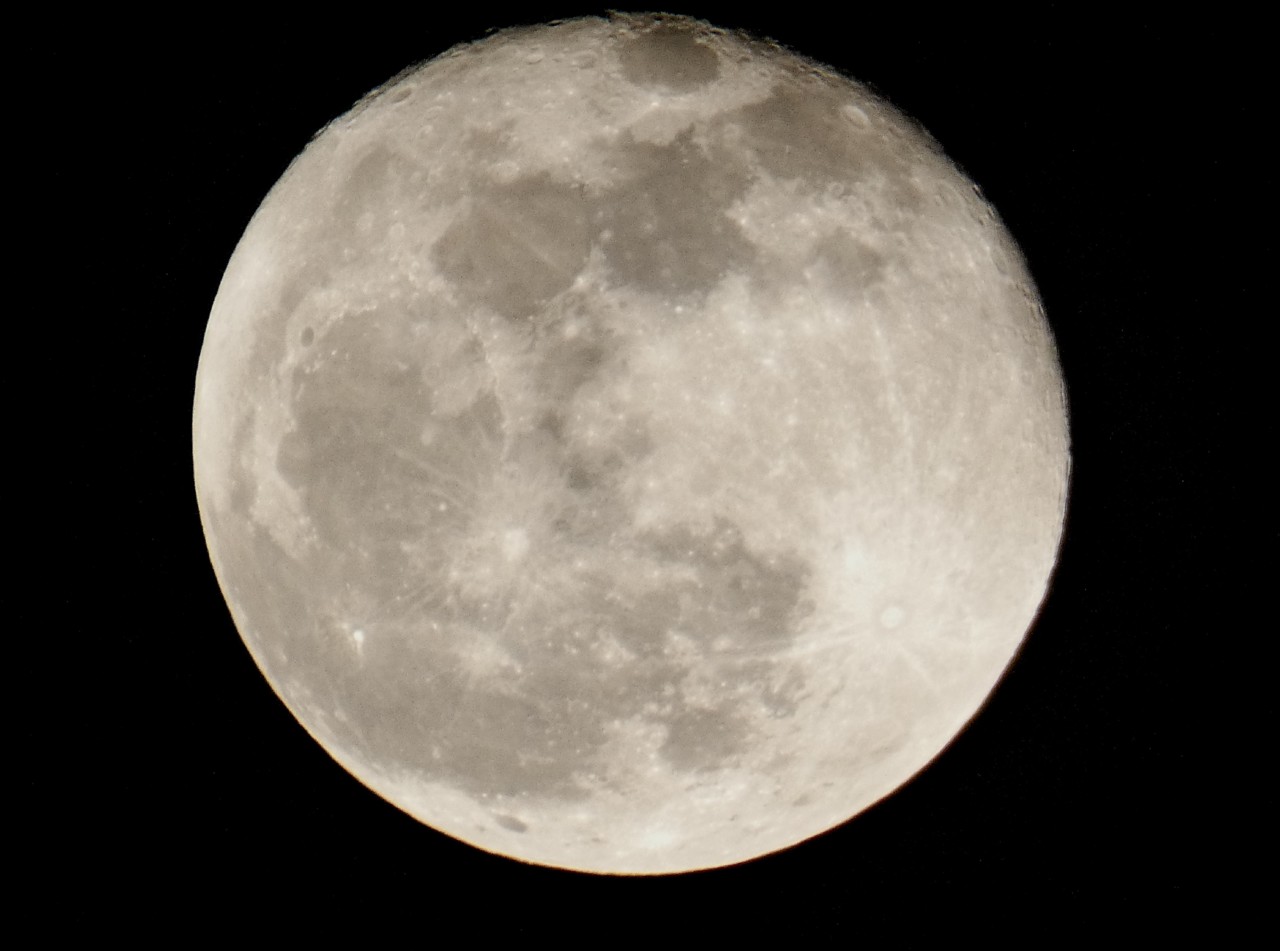 P1010285.JPG P1010285.JPG