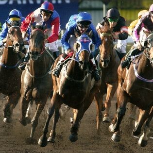 361591543_6484459688302580_5588181739266653175_n.j